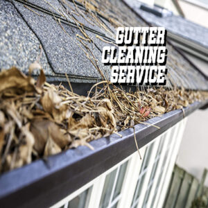 Gutter Cleaning Service 2
