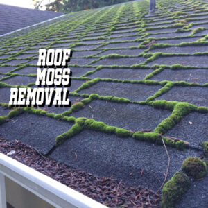 Roof Moss Removal2